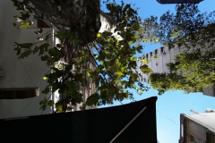 Buenos-Aires-1