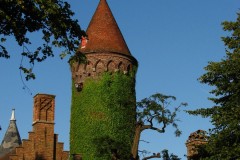 IMG_4770-2