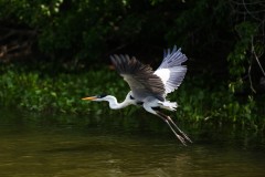 IMG_8932-2