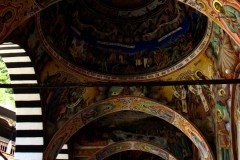 IMG_4641-3