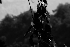 IMG_4841-1-2