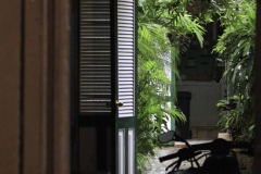 Havana-23