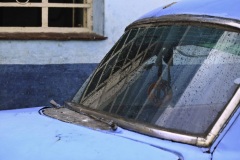 Havana-55