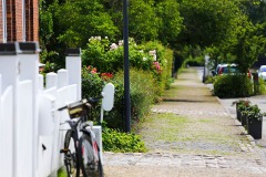 IMG_6361-3