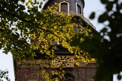 IMG_6555-3
