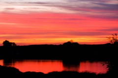 IMG_4444-1-2