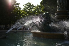 IMG_9779-2