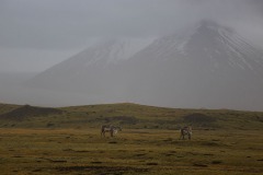 IMG_0949-2