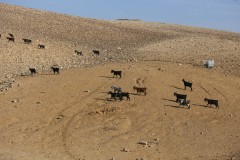 IMG_2011-2