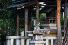 22-IMG_9922-2