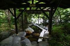IMG_0328-2