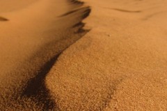 Picture_025-2