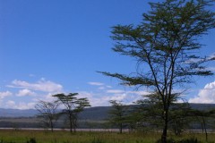 Lake_Nakuru_14-2