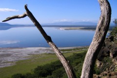 Lake_Nakuru_25-2