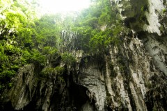 Batu_Caves_2