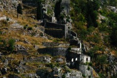 IMG_2667-2