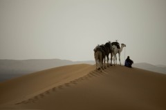 Erg-Chebbi-12