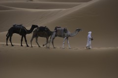 Erg-Chebbi-13