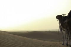 Erg-Chebbi-16