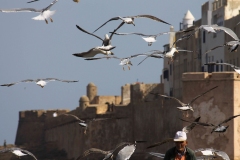 Essaouira-20-2