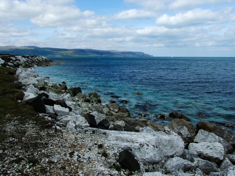 DSCF0530-2