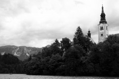 IMG_1504-2