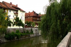IMG_1573-2