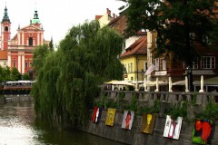 IMG_1580-2