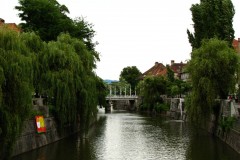 IMG_1613-2