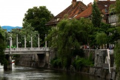 IMG_1616-3