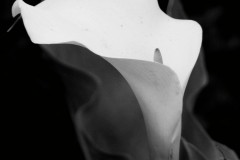 Copy-of-IMG_5894-1-2