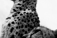 IMG_5873-1-2
