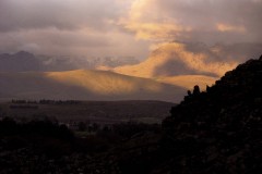 IMG_6269-1