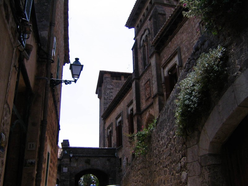 Picture-344-3