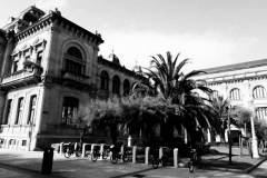 303951_907741597011_342092327_n