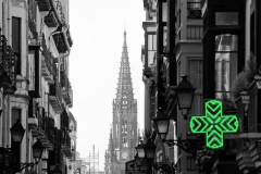 320516_907741716771_1222167772_n