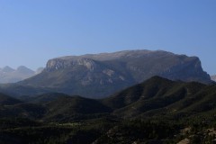 IMG_2993-2