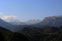 IMG_2994-3