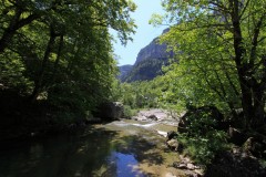 IMG_3391-2
