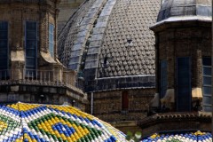 IMG_3786-5