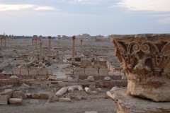 Palmyra-1-2