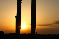 Palmyra-10-2