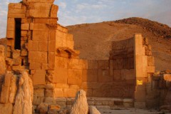 Palmyra-11-2