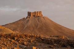 Palmyra-14-2