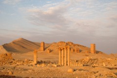 Palmyra-17-3