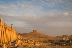 Palmyra-18-2