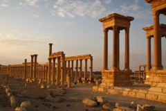 Palmyra-20-2