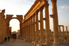 Palmyra-23-2