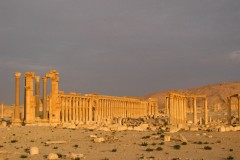 Palmyra-27-3