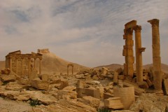 Palmyra-28-2